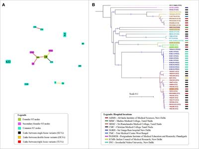 Diversity of resistant determinants, virulence factors, and mobile genetic elements in Acinetobacter baumannii from India: A comprehensive in silico genome analysis